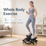BNcompany TBJ-001 Mini Swing Stepper Exercise Machine Cardio Twister Stair Steppers Steel Material